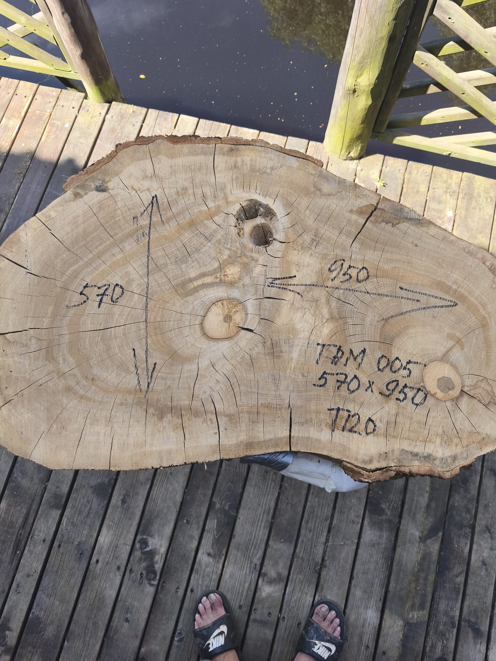 TAM 010