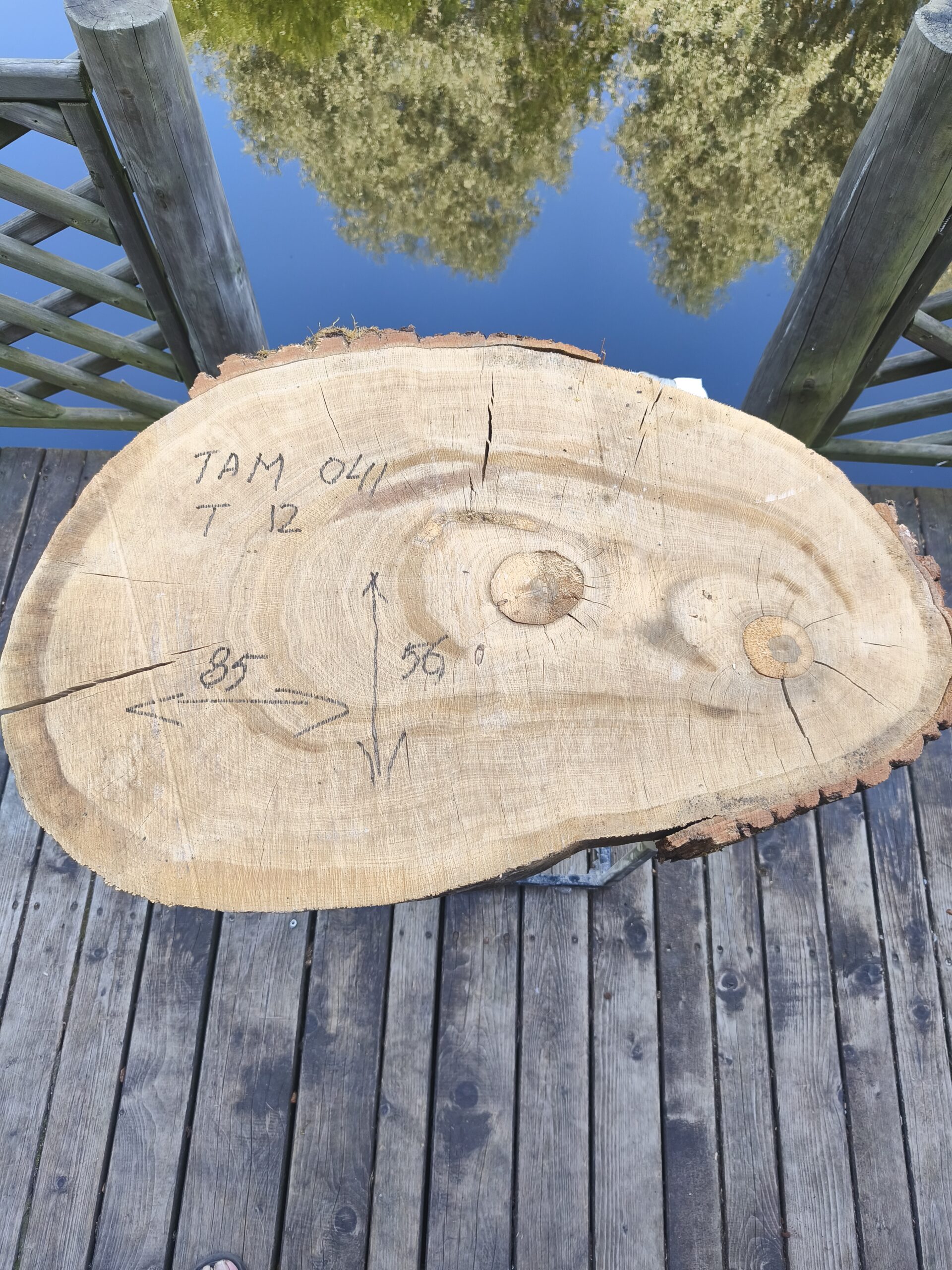 TAM 041