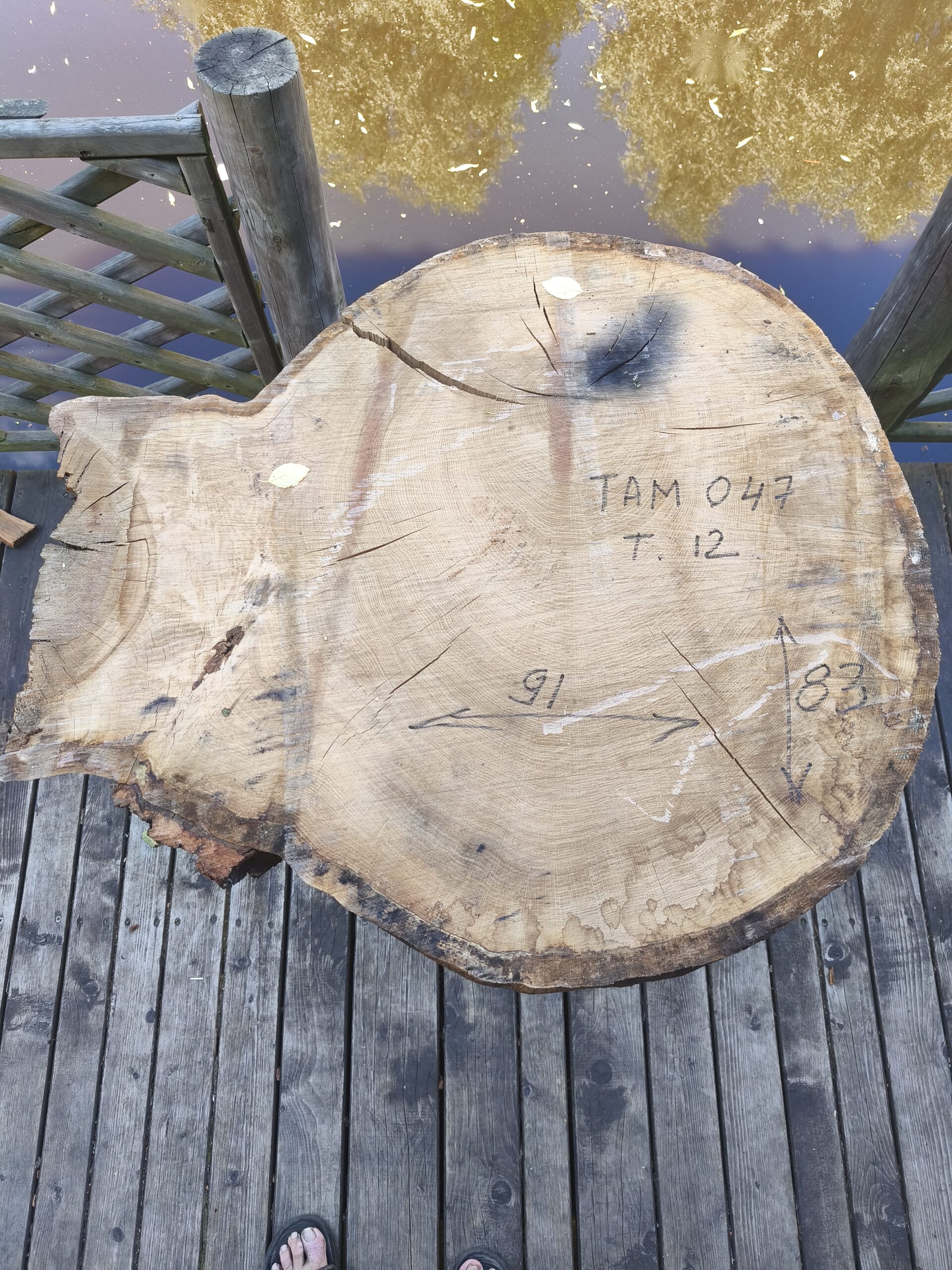 TAM 047
