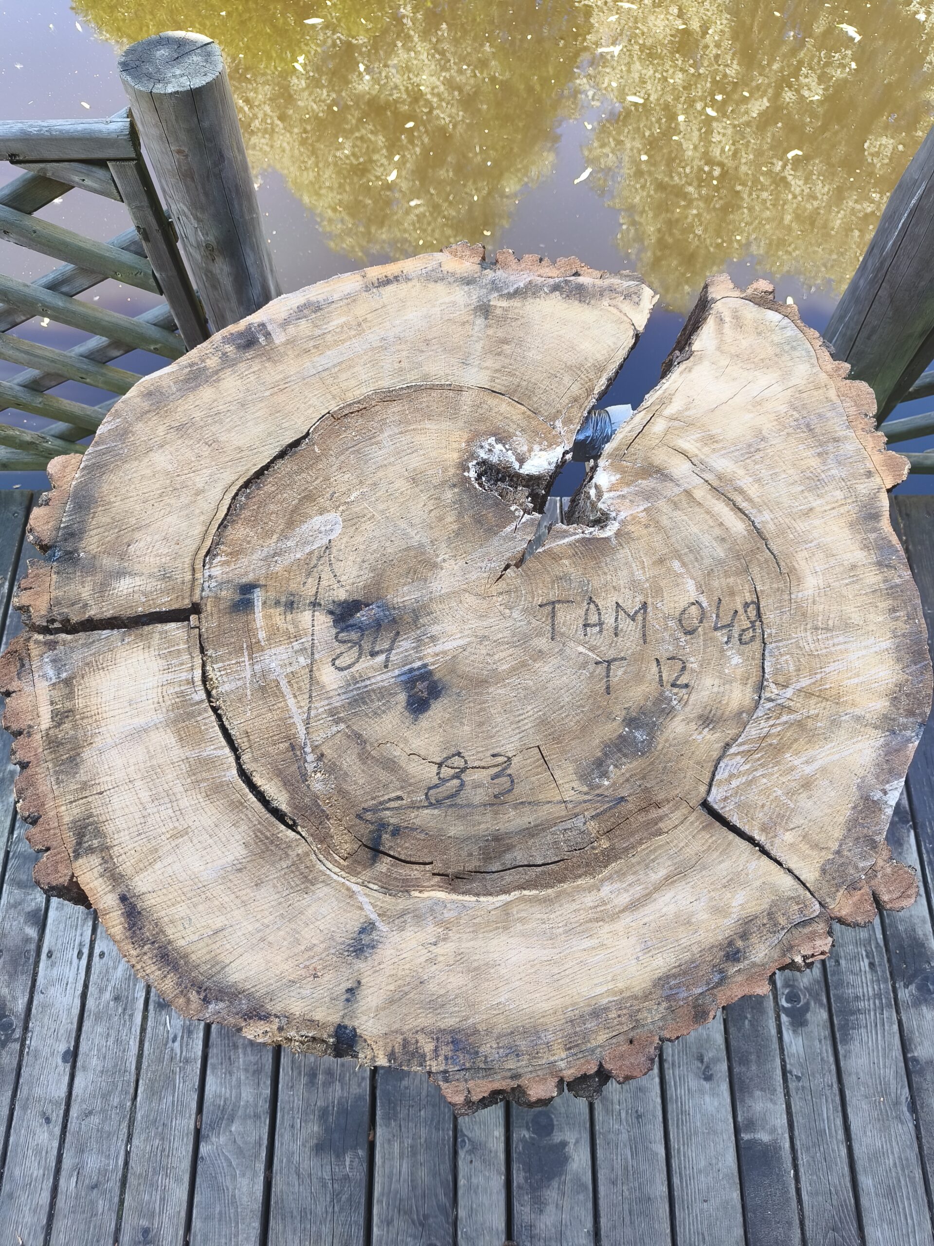 TAM 048