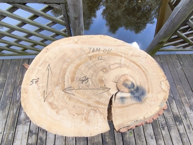 TAM 011