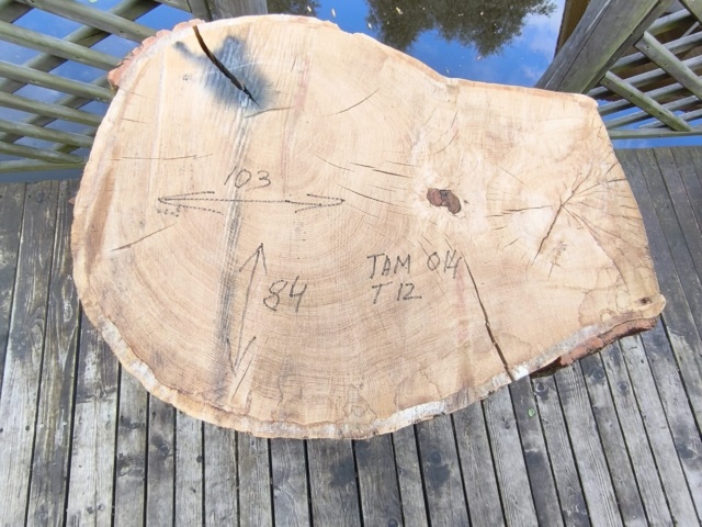 TAM 014