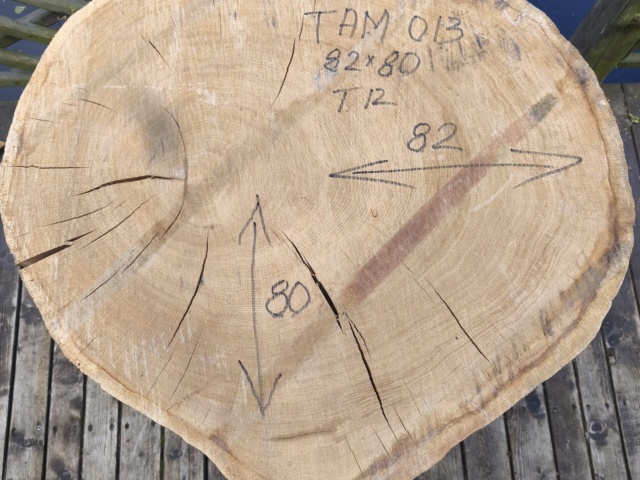 TAM 013