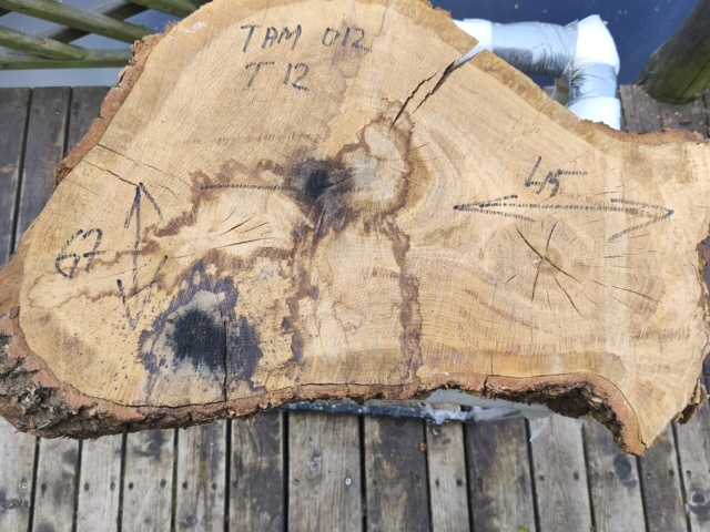 TAM 012