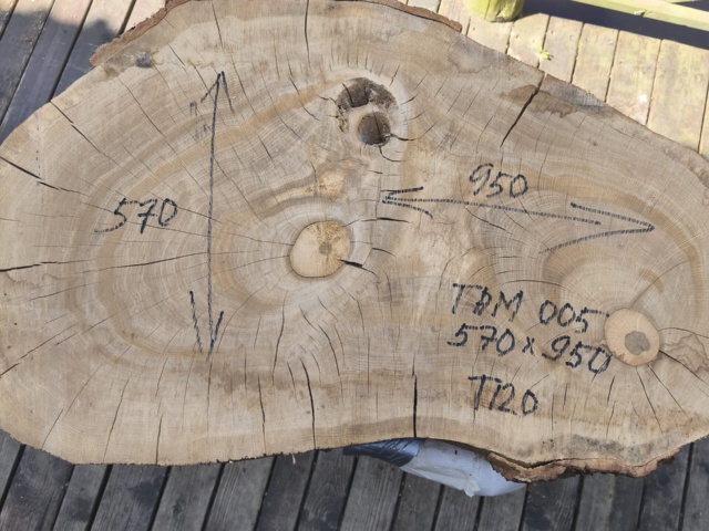 TAM 010