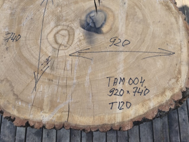 TAM 004