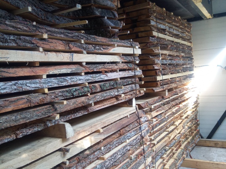 Tislerikuiv tamm