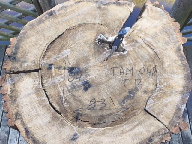TAM 048