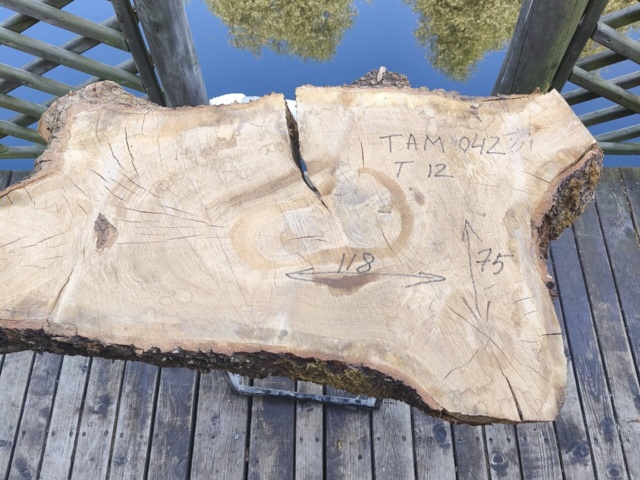 TAM 042