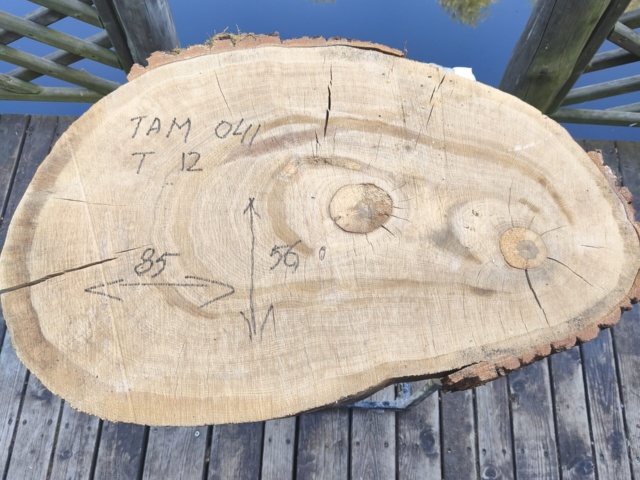 TAM 041